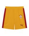 PUMA Galatasaray Istanbul T7 Short Fu&szlig;ballshorts Herren - gelb