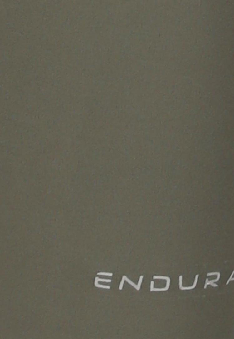 Endurance Endurance Reygeay Tights Damen - 1013 Gunmetal - 0 | SportScheck