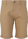 Cruz Reagan Shorts Herren - 1138 Kelp