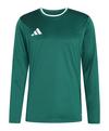 adidas Entrada 26 Trikot Langarm Trikot Herren - gruenweiss