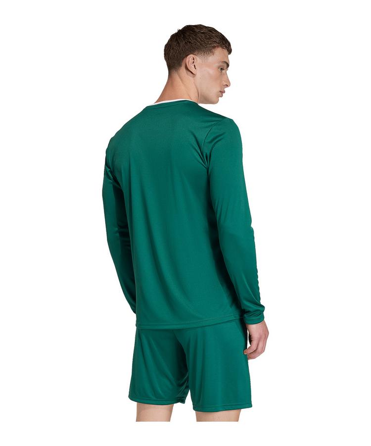 adidas adidas Entrada 26 Trikot Langarm Trikot Herren - gruenweiss - 0 | SportScheck