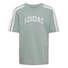 adidas ADIDAS COLLEGIATE KIDS SET Trainingsanzug Kinder - Wonder Sage