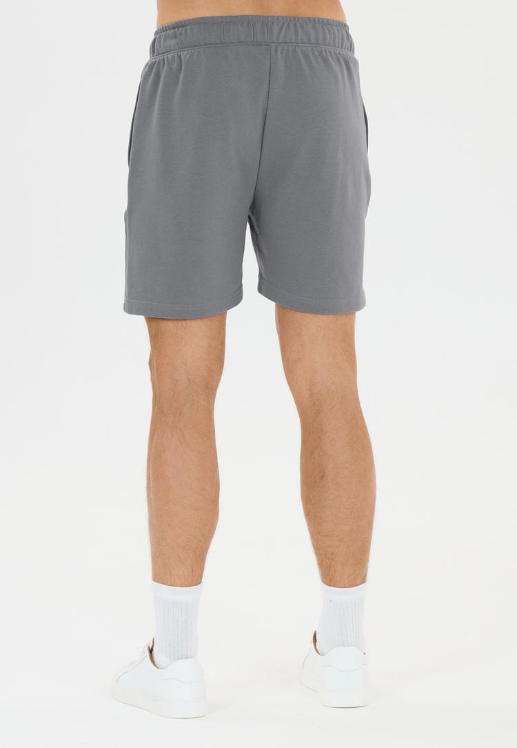 Virtus Virtus Minne Funktionsshorts Herren - 2295 Lagune Gray - 3 | SportScheck