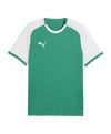 PUMA teamLIGA26 Matchday Trikot Trikot Herren - gruen