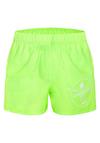 Chiemsee Badehose Badehose Jungen - 13-0340 Green Gecko