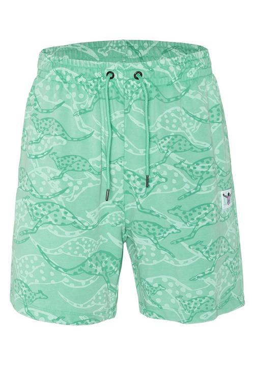Chiemsee Shorts Shorts Herren