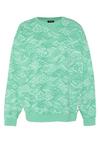 Chiemsee Sweatshirt Sweatshirt Herren - 16-5721 Marine Green