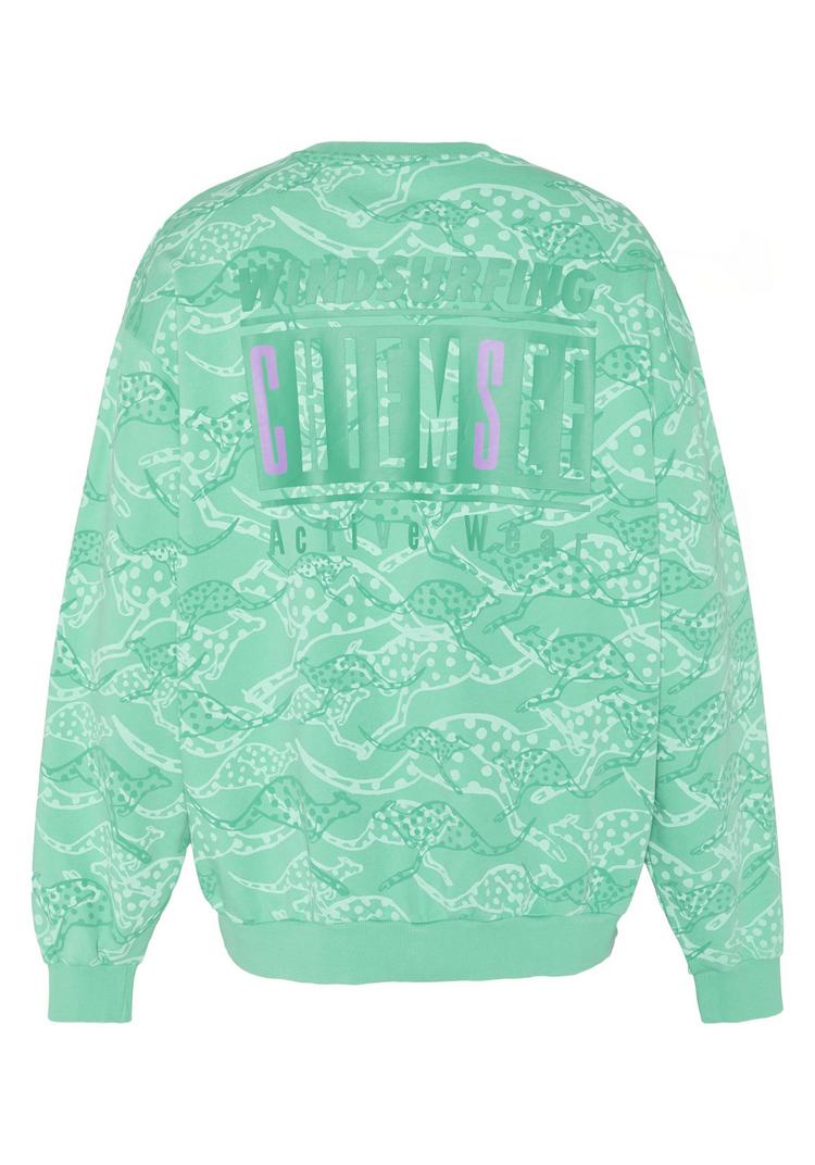 Chiemsee Chiemsee Sweatshirt Sweatshirt Herren - 16-5721 Marine Green - 0 | SportScheck