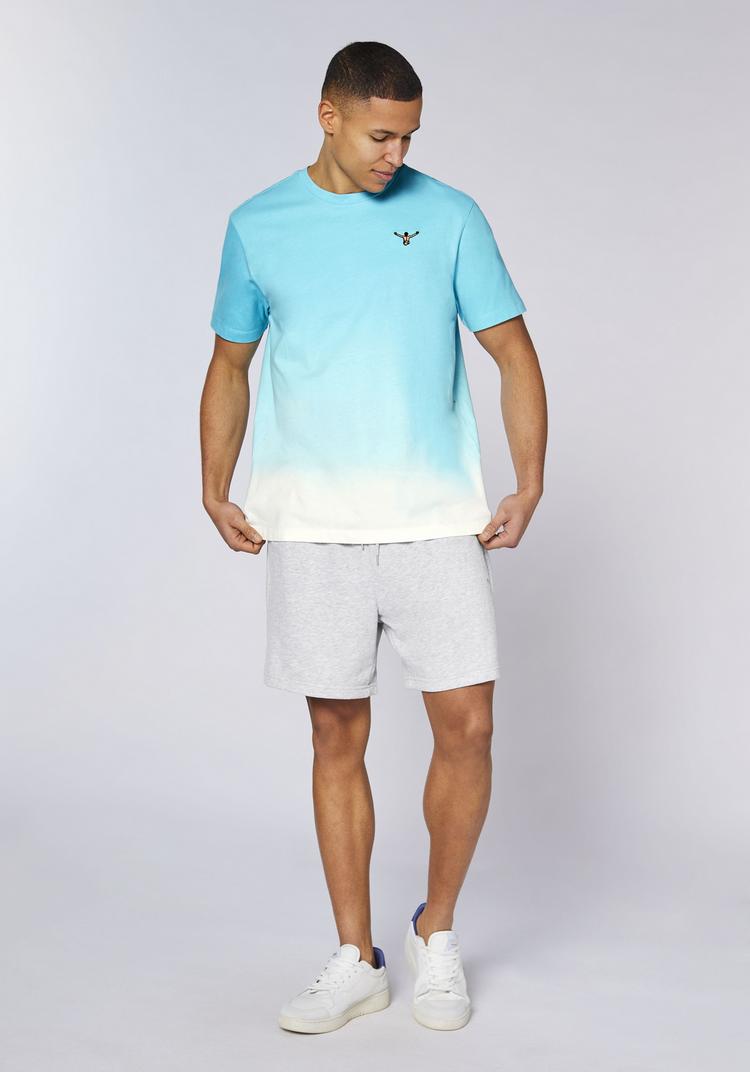 Chiemsee Chiemsee T-Shirt T-Shirt Herren - 13-4307 Tropical Breeze - 2 | SportScheck