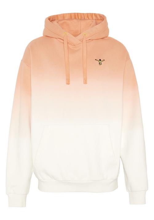 Chiemsee Kapuzensweatshirt Sweatshirt Herren