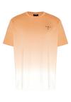 Chiemsee T-Shirt T-Shirt Herren - 16-1442 Melon