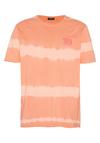 Chiemsee T-Shirt T-Shirt Herren - 16-1442 Melon