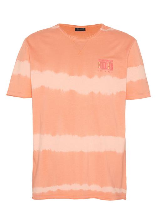 Chiemsee T-Shirt T-Shirt Herren