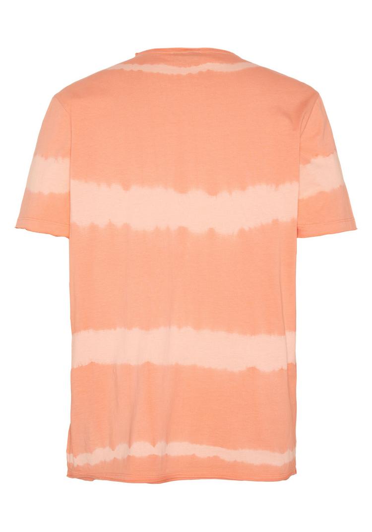 Chiemsee Chiemsee T-Shirt T-Shirt Herren - 16-1442 Melon - 0 | SportScheck