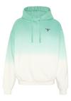 Chiemsee Kapuzensweatshirt Sweatshirt Herren - 16-5721 Marine Green