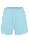Chiemsee Shorts Shorts Herren - 13-4307 Tropical Breeze