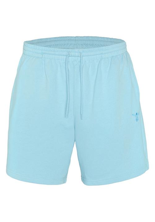 Chiemsee Shorts Shorts Herren