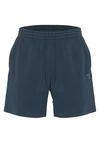 Chiemsee Shorts Shorts Herren - 19-4010 Total Eclipse
