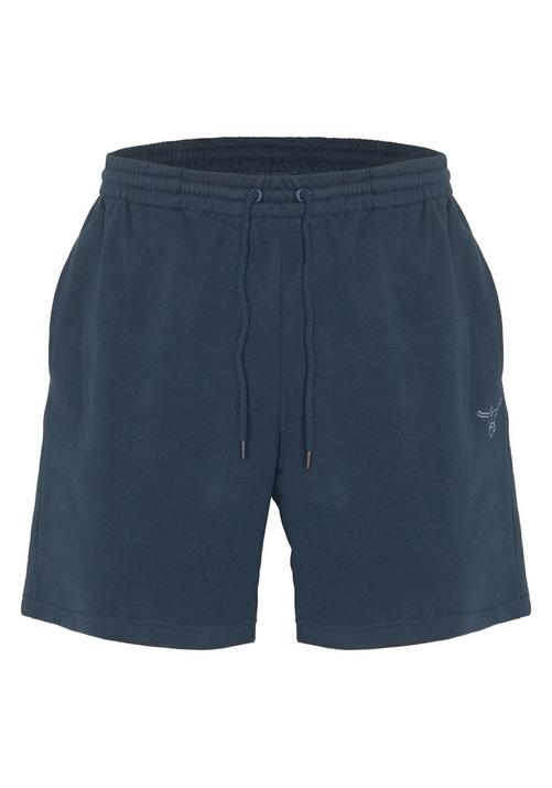 Chiemsee Shorts Shorts Herren