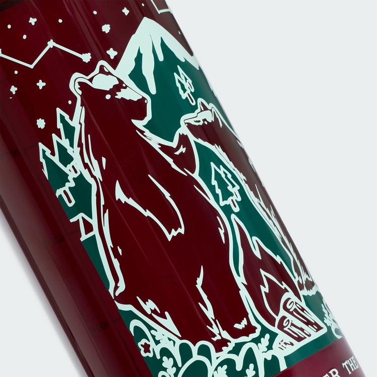 adidas adidas Terrex Trinkflasche 1000&nbsp;ml Trinkflasche - Maroon / Maroon - 0 | SportScheck