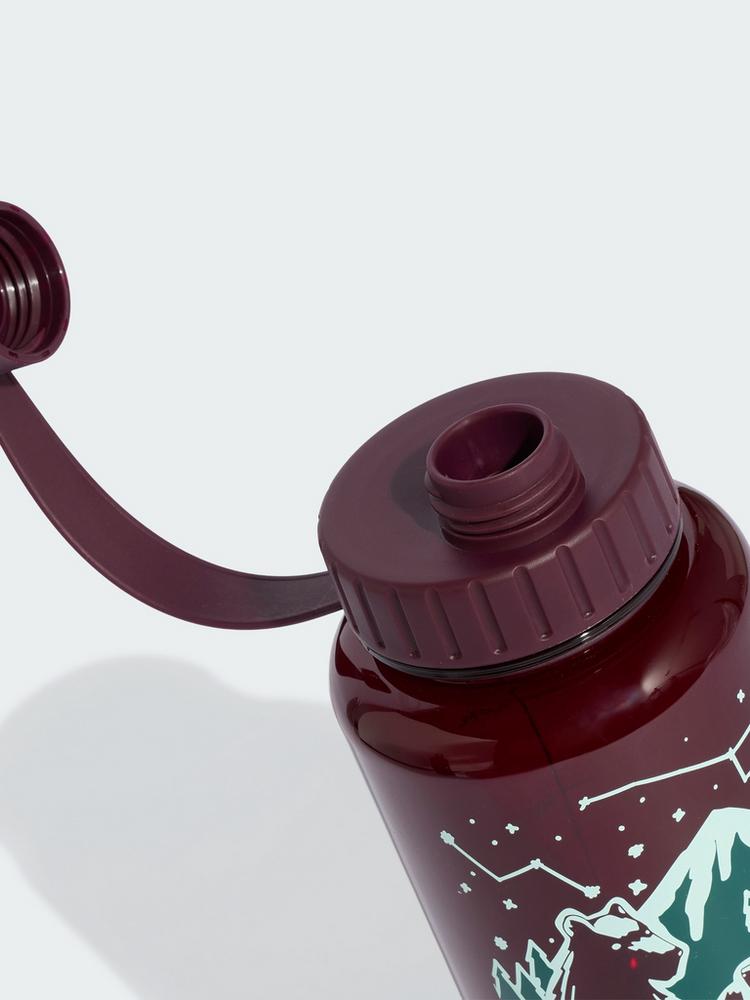 adidas adidas Terrex Trinkflasche 1000&nbsp;ml Trinkflasche - Maroon / Maroon - 1 | SportScheck