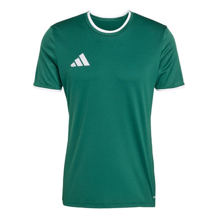 adidas adidas Entrada26 Trikot Trikot Herren - Team Dark Green / White - 0 | SportScheck