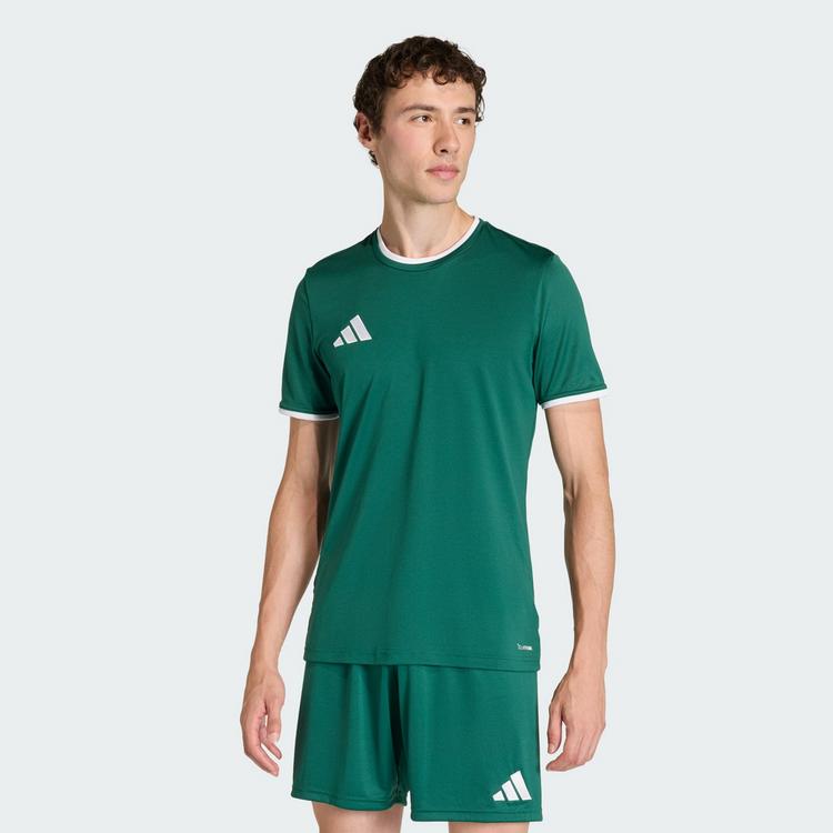 adidas adidas Entrada26 Trikot Trikot Herren - Team Dark Green / White - 0 | SportScheck