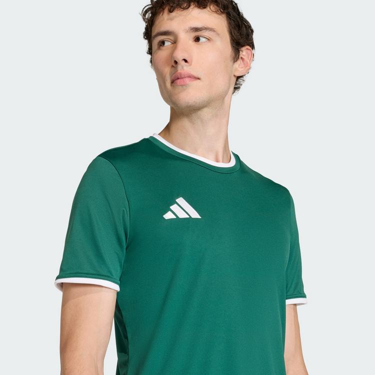 adidas adidas Entrada26 Trikot Trikot Herren - Team Dark Green / White - 1 | SportScheck