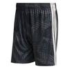 adidas TIRO26 COMPETITION TORWARTSHORTS Fu&szlig;ballshorts Herren - Black