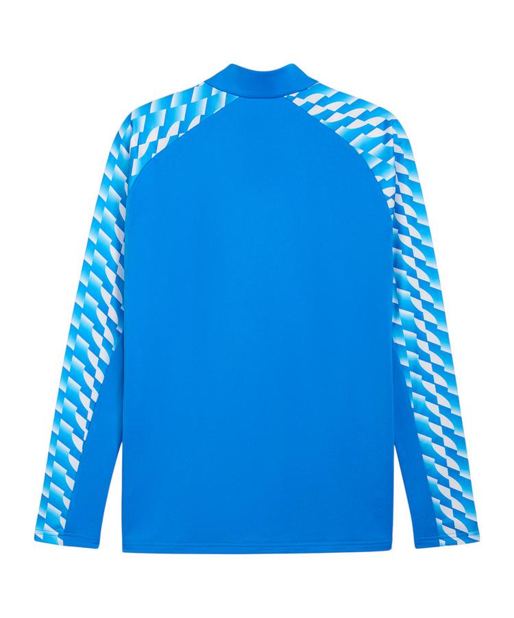 PUMA PUMA teamLIGA26 Training 1/4 Zip Top Funktionssweatshirt Herren - blauweiss - 0 | SportScheck