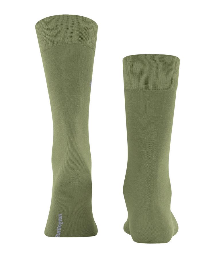 Burlington Burlington Dublin Socken Herren - salvia (7472) - 0 | SportScheck