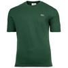 Lacoste T-Shirt T-Shirt Herren - Gr&uuml;n