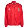 adidas SL Benfica Lissabon Stadion Trainingsjacke Herren - Pure Ruby