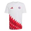 adidas FC Bayern M&uuml;nchen Anthem Grafik T-Shirt T-Shirt Herren - White / Team Victory Red