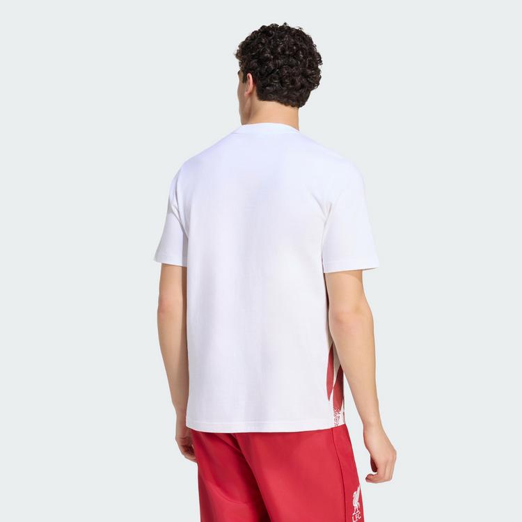 adidas adidas FC Liverpool Stadium Grafik T-Shirt T-Shirt Herren - White / Active Maroon - 1 | SportScheck