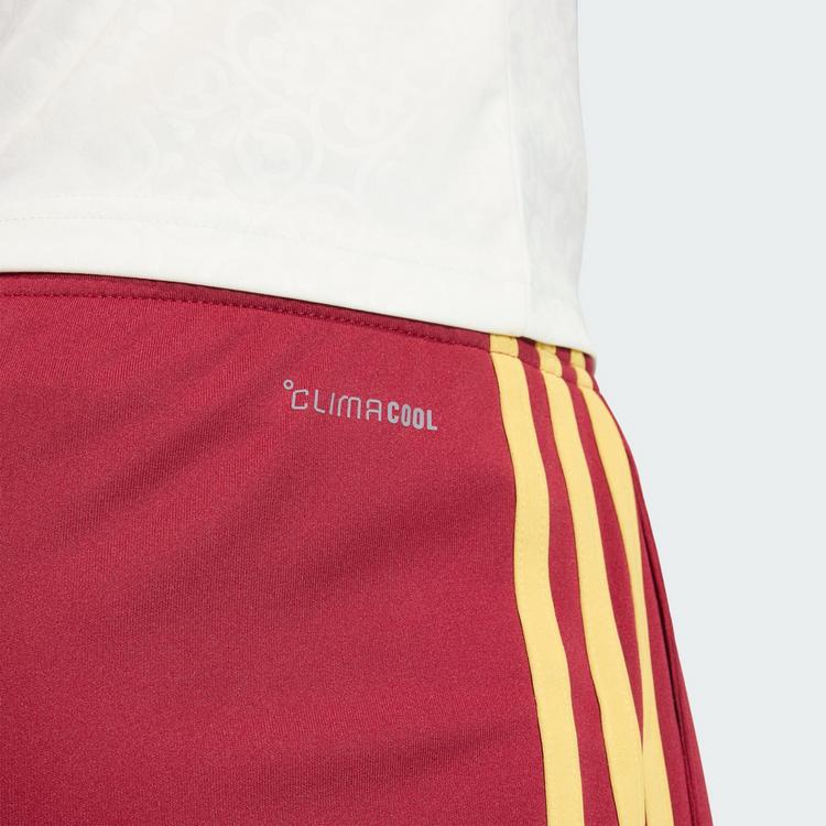 adidas adidas Spanien 26 Ausw&auml;rtsshorts Fu&szlig;ballshorts Herren - Team Coll Burgundy 2 - 3 | SportScheck