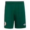adidas Algerien 26 Ausw&auml;rtsshorts Fu&szlig;ballshorts Herren - Team Dark Green