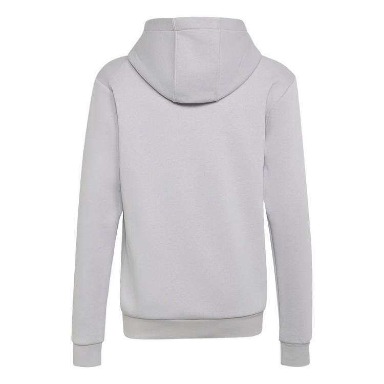 adidas adidas Adidas Minecraft Terrex Hoodie Hoodie Kinder - Light Solid Grey - 0 | SportScheck