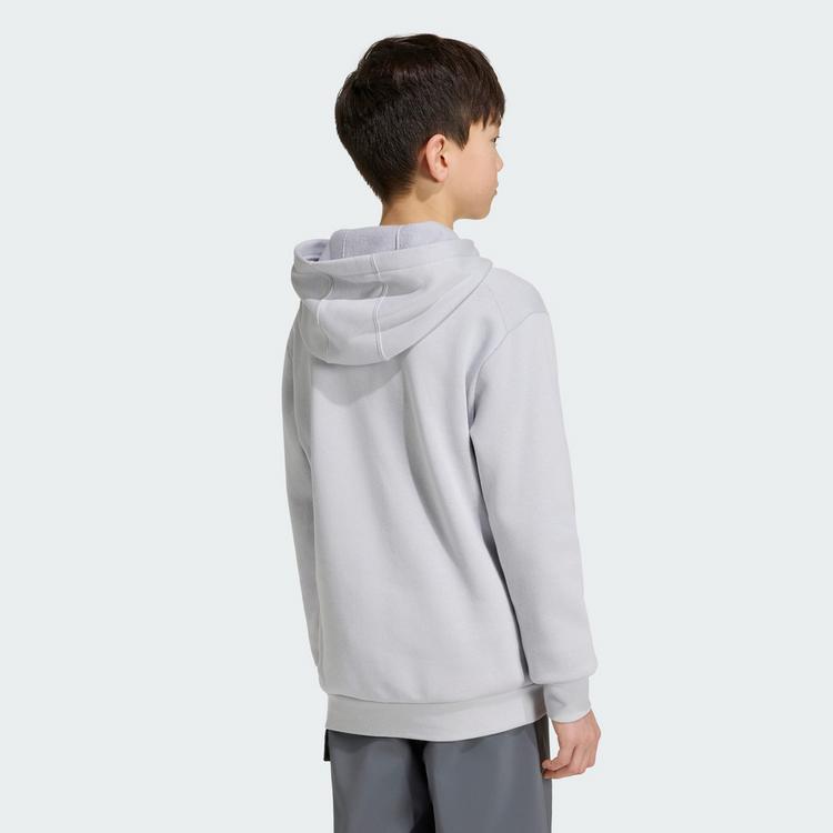 adidas adidas Adidas Minecraft Terrex Hoodie Hoodie Kinder - Light Solid Grey - 1 | SportScheck