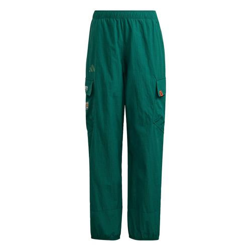 adidas adidas Minecraft Terrex CLIMA365 Kids Wanderhose Kinder