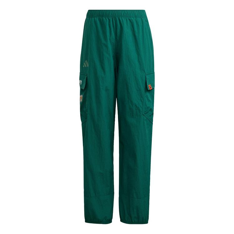 adidas adidas adidas Minecraft Terrex CLIMA365 Kids Wanderhose Kinder - Collegiate Green - 0 | SportScheck