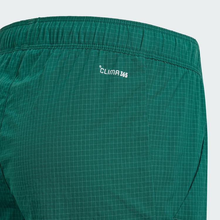adidas adidas adidas Minecraft Terrex CLIMA365 Kids Wanderhose Kinder - Collegiate Green - 1 | SportScheck