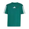 adidas Essentials Kids T-Shirt T-Shirt Kinder - Collegiate Green / White