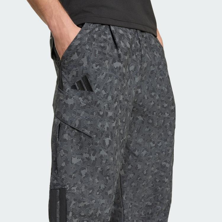 adidas adidas Terrex Xploric CLIMA365 Cargohose Wanderhose Herren - Grey Six / Carbon / Black - 0 | SportScheck