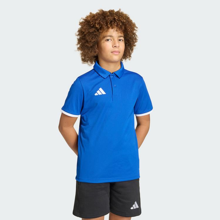 adidas adidas Entrada26 Kids Poloshirt T-Shirt Kinder - Royal Blue / White - 0 | SportScheck