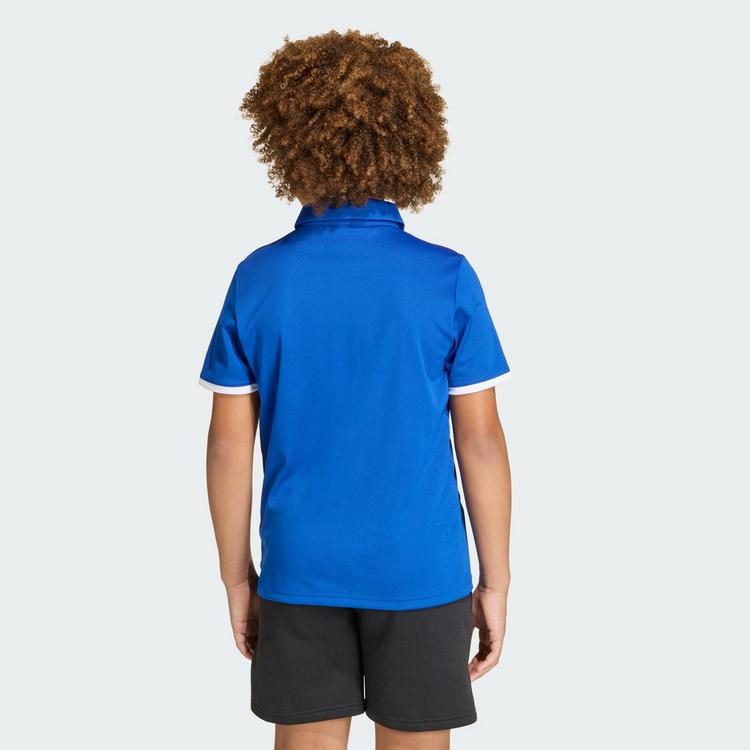 adidas adidas Entrada26 Kids Poloshirt T-Shirt Kinder - Royal Blue / White - 1 | SportScheck