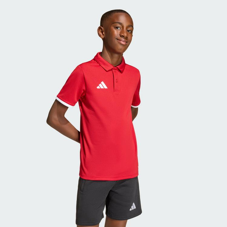 adidas adidas Entrada26 Kids Poloshirt T-Shirt Kinder - Team Power Red 2 / White - 0 | SportScheck