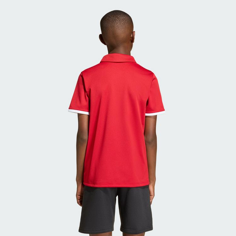 adidas adidas Entrada26 Kids Poloshirt T-Shirt Kinder - Team Power Red 2 / White - 1 | SportScheck