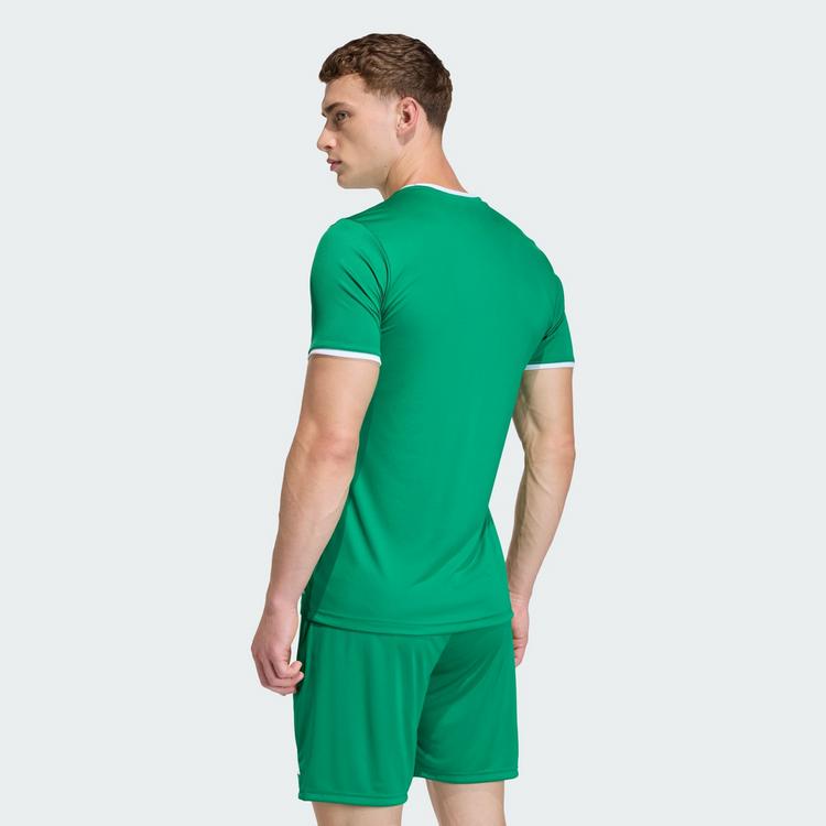 adidas adidas Entrada26 Trikot Trikot Herren - Team Green / White - 1 | SportScheck