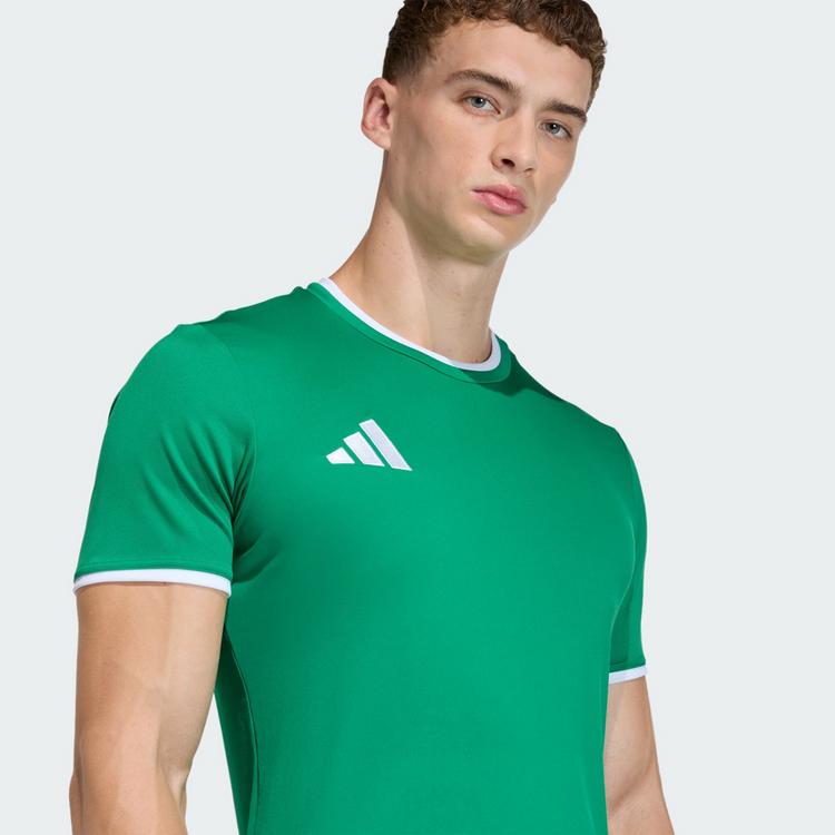 adidas adidas Entrada26 Trikot Trikot Herren - Team Green / White - 1 | SportScheck